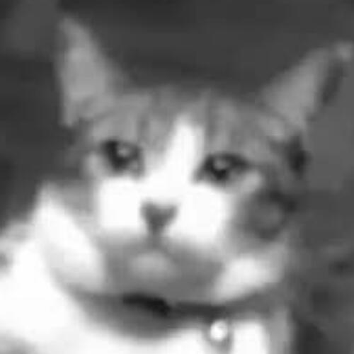 สมาชิกหมายเลข 3782071