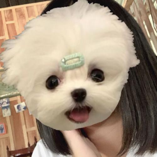 สมาชิกหมายเลข 7163541