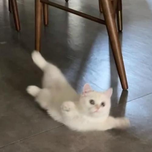 สมาชิกหมายเลข 2328069