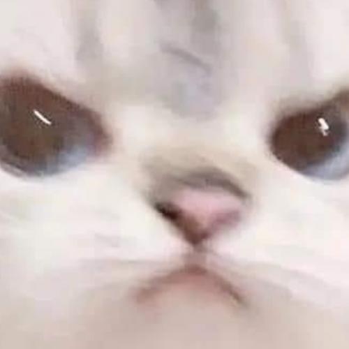 สมาชิกหมายเลข 7957176