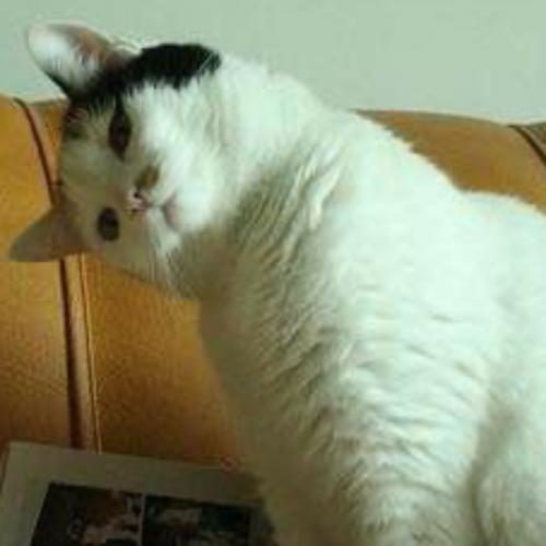 สมาชิกหมายเลข 7960054