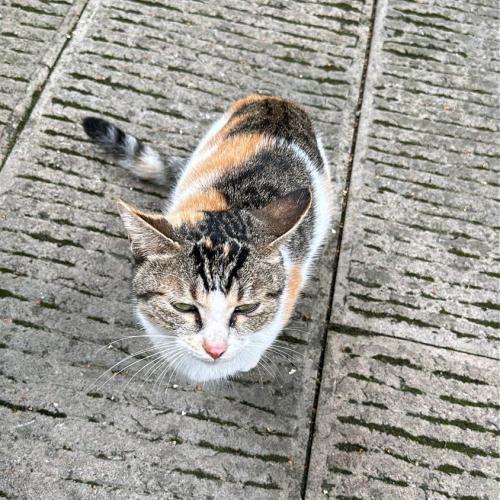 สมาชิกหมายเลข 4662212