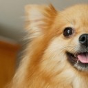 สมาชิกหมายเลข 3763823