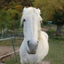 สมาชิกหมายเลข 4227497