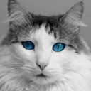 สมาชิกหมายเลข 3406615