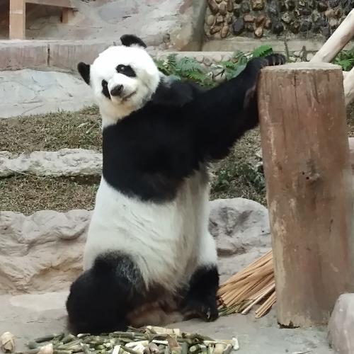 สมาชิกหมายเลข 4965820