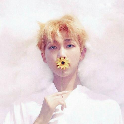 สมาชิกหมายเลข 4974660