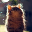 สมาชิกหมายเลข 2102673