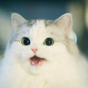 สมาชิกหมายเลข 3848396