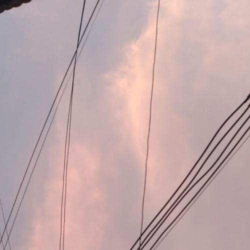 สมาชิกหมายเลข 4923419