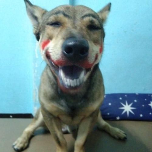 สมาชิกหมายเลข 5510791