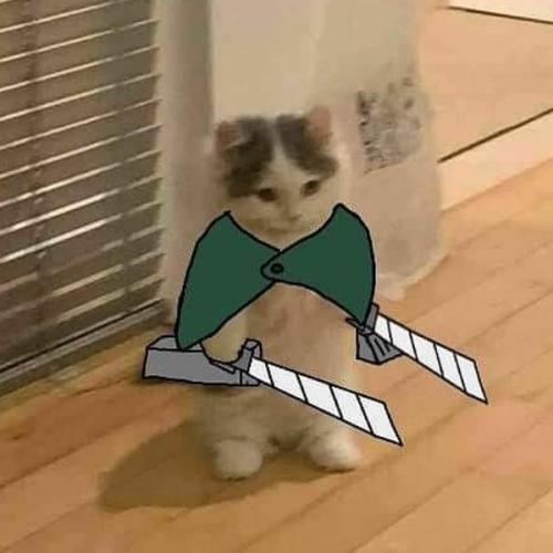 สมาชิกหมายเลข 3562640