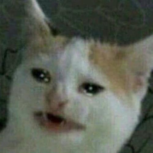 สมาชิกหมายเลข 6461615