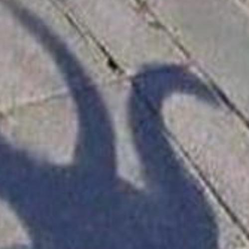 สมาชิกหมายเลข 7539748