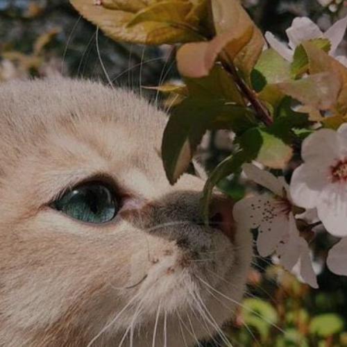 สมาชิกหมายเลข 6134467