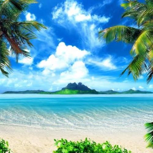 สมาชิกหมายเลข 8986386