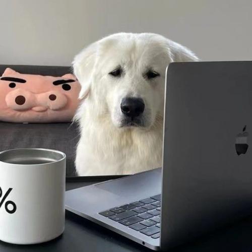 สมาชิกหมายเลข 8987229