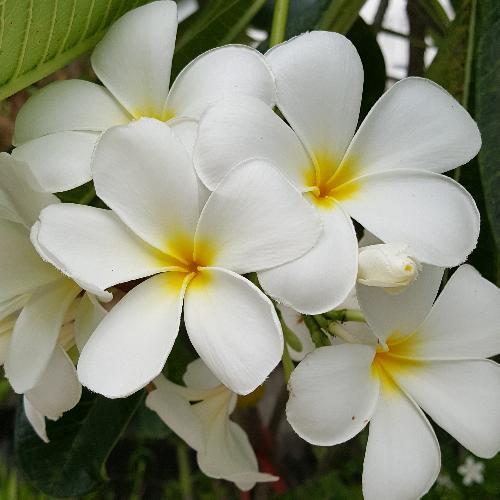 สมาชิกหมายเลข 1663539