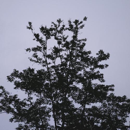 สมาชิกหมายเลข 4618065