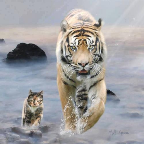 สมาชิกหมายเลข 718821