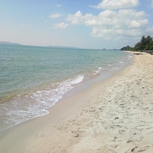 สมาชิกหมายเลข 4974821