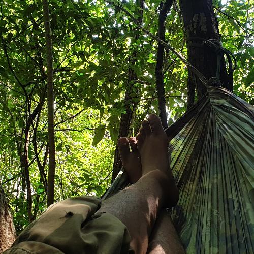 สมาชิกหมายเลข 4974826