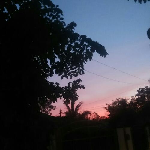 สมาชิกหมายเลข 4974829