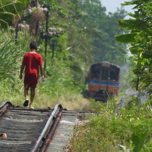 สมาชิกหมายเลข 4432966