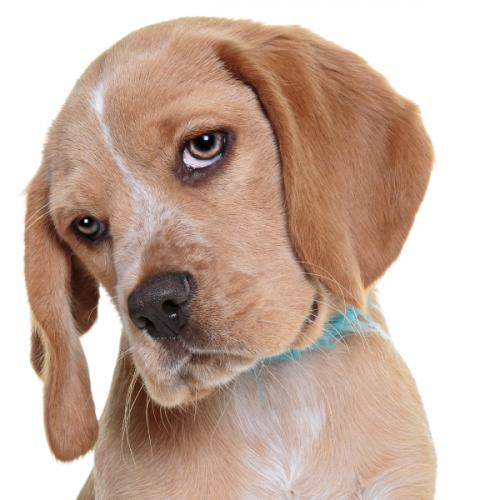 สมาชิกหมายเลข 4541253