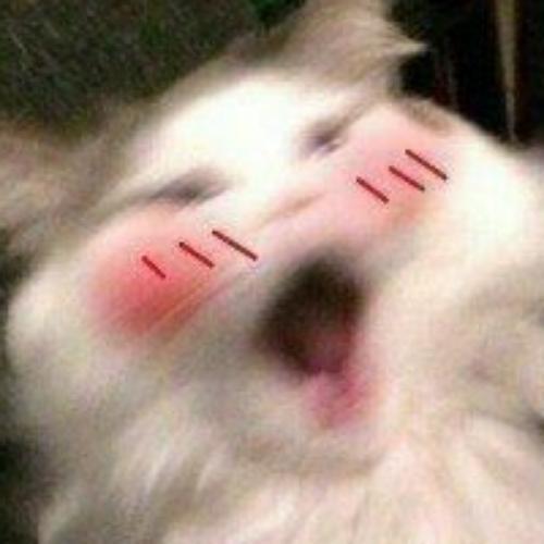 สมาชิกหมายเลข 6462153