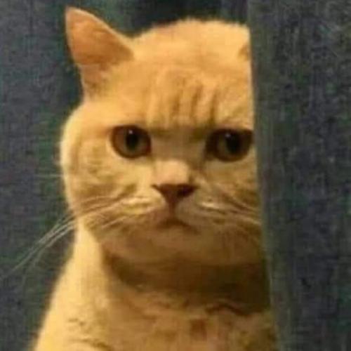 สมาชิกหมายเลข 5146760