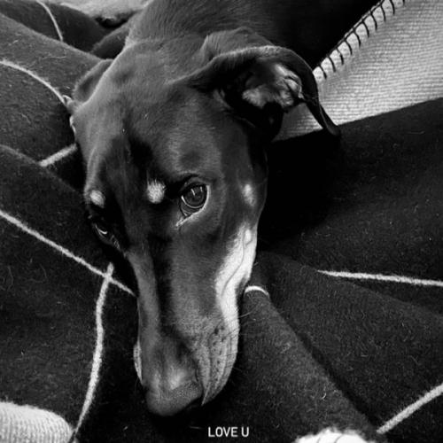 สมาชิกหมายเลข 7163011