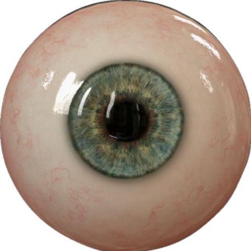 สมาชิกหมายเลข 7681540