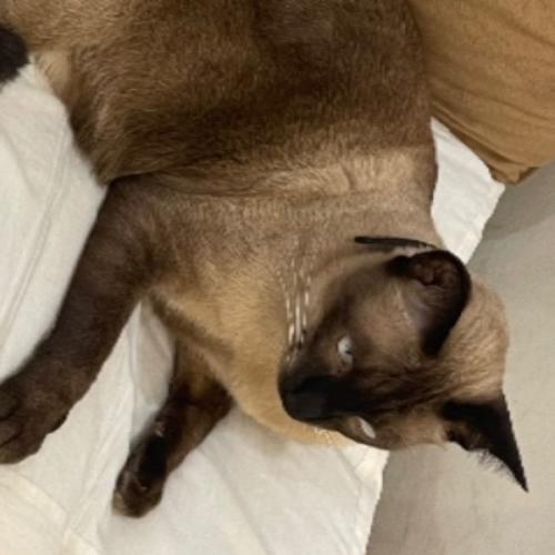 สมาชิกหมายเลข 769192