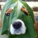 สมาชิกหมายเลข 1505552