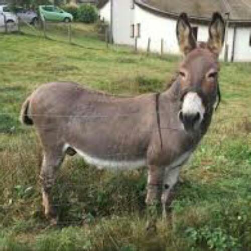 สมาชิกหมายเลข 2556877