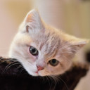 สมาชิกหมายเลข 4975799