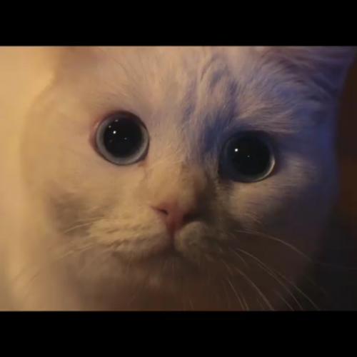 สมาชิกหมายเลข 5862207