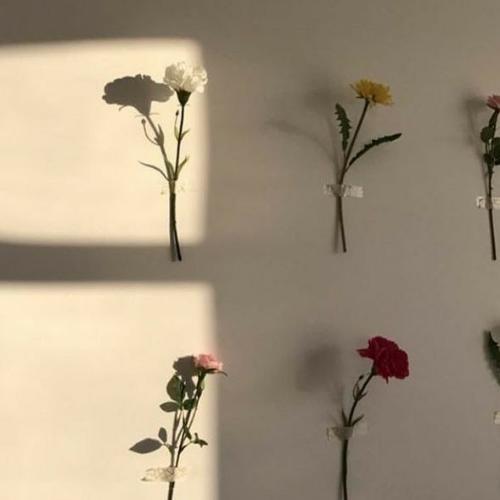 สมาชิกหมายเลข 6463035