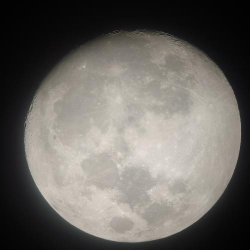 สมาชิกหมายเลข 7166169