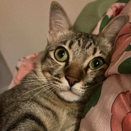 สมาชิกหมายเลข 3219268