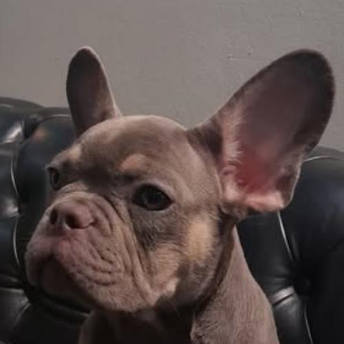 สมาชิกหมายเลข 5323136