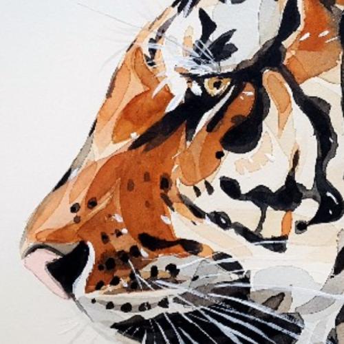 สมาชิกหมายเลข 8988628