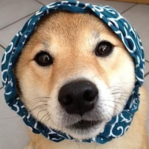 สมาชิกหมายเลข 4619907