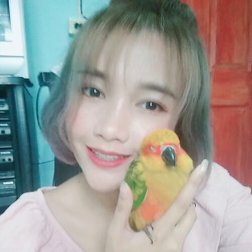 สมาชิกหมายเลข 4912421