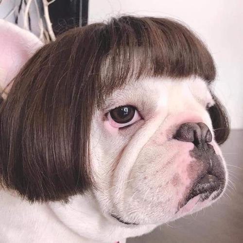 สมาชิกหมายเลข 5211402