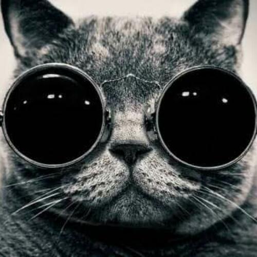 สมาชิกหมายเลข 5370997