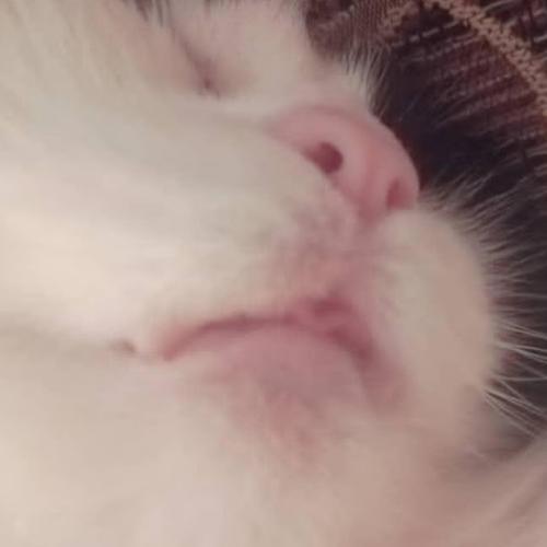 สมาชิกหมายเลข 4457959