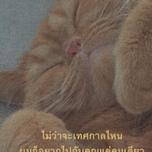 สมาชิกหมายเลข 5226657