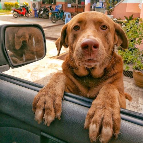 สมาชิกหมายเลข 2223427